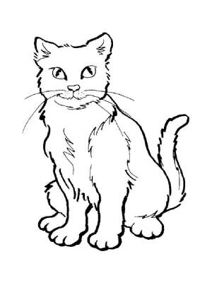Раскраски Кошки