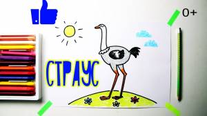 Как нарисовать СТРАУСА