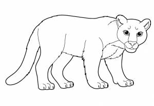 Раскраска львица
