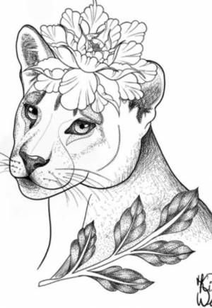 Пин от пользователя Deja Vu_kemerovo на доске Львица