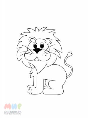 Раскраска Лев царь зверей