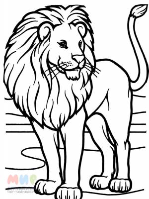 Раскраска Лев забрался в хлев