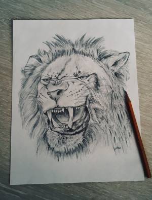 лев art lion карандаш арт рисунок
