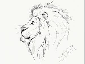 Рисунок для срисовки карандашом лев