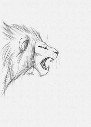 Львица рисунок легкий