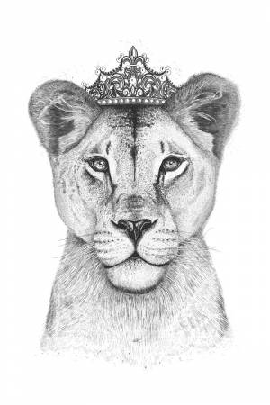 Львица рисунок для детей
