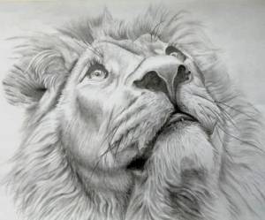 Картина «Лев» Бумага, Карандаш 2019 г