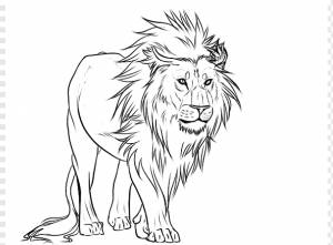Карандашный рисунок Lion Art Sketch, Зло Дерево, млекопитающее, лицо, карандаш png