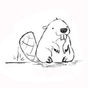Раскраска бобер