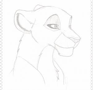 Мультяшный рисунок нала лев, мультфильм львица, белый, млекопитающее, лицо png