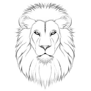 Легкие рисунки льва