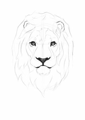 Легкие рисунки льва