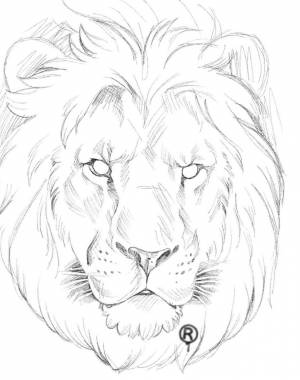 Легкие рисунки льва