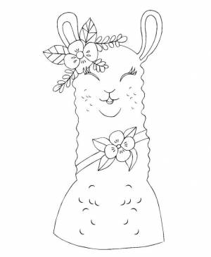 Раскраски Лама