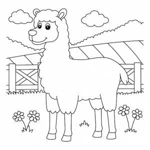 Раскраска лама для детей