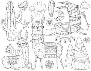 Раскраска Милая лама и каткус