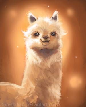 Фото Очень милая лама, by Dan-zodiac