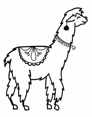 Раскраска Милая лама