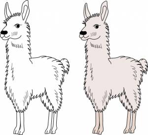 Симпатичная мультяшная лама для детской раскраски