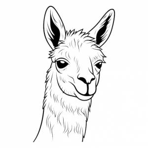 Раскраска голова ламы