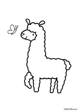 Раскраска Лама для малышей
