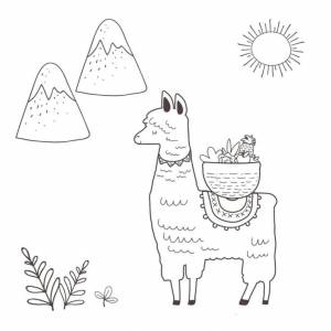 Раскраски Лама