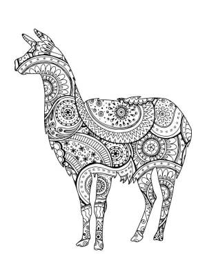 Раскраски Лама