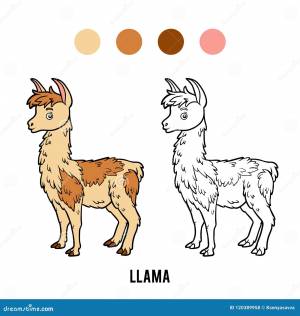 Книжка-раскраска, лама иллюстрация вектора