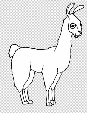 Твоя мама лама?Колода животных Раскраска, ламы, разное, белый, ребенок png