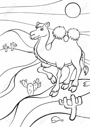 Coloring Pages