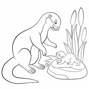 Раскраски Выдра