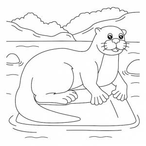 Раскраска речная выдра для детей