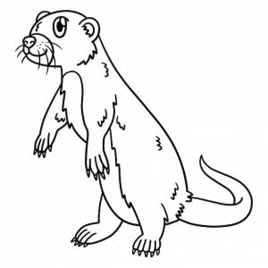 Речная выдра изолированная раскраска для детей