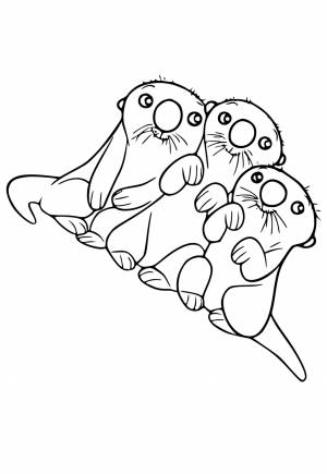 Раскраска Выдра Мило