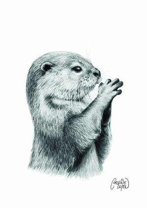 Выдра рисунок
