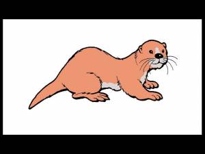 Как нарисовать Выдру