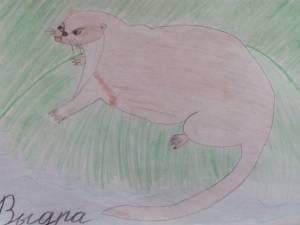 Рисунок выдра для детей