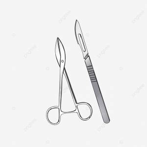 Surgical Scissors PNG Transparent, Scalpel Illustration Surgical Forceps Illustration Surgical Scissors Illustration Tweezers, Scissors Clipart, Medical Tools, …