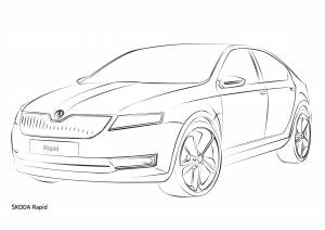 Раскраска шкода