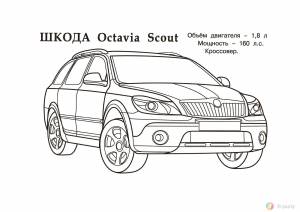 Раскраска шкода