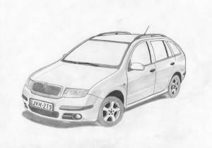 Раскраска шкода