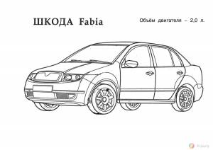 Раскраска шкода