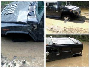 уши хаммера в болоте