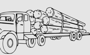 В Архангельской области лесовоз съехал в кювет, избегая столкновения с легковым автомобилем