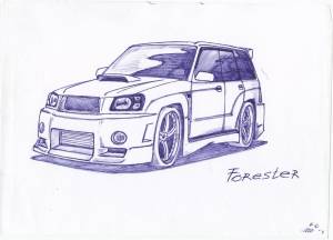 Рисунки Форестера…