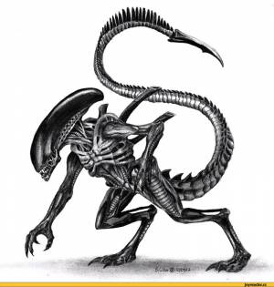 Xenomorph
