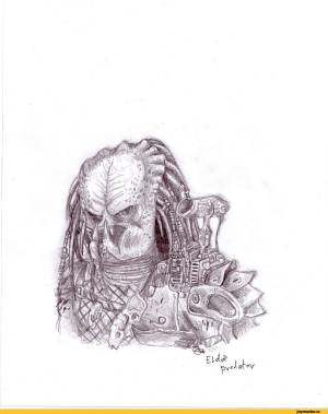 Predator
