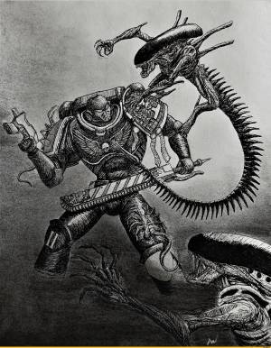 AVP