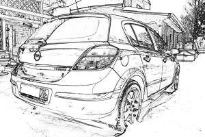 Раскраска Астры