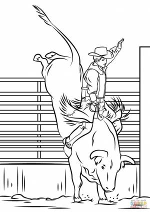 Image result for rodeo drawings easy bull riding